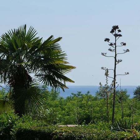 Sea Explorer House Novigrad  Luaran gambar